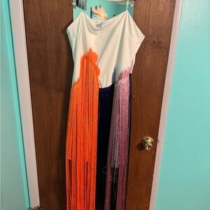 Elegant Multicolor Fringe Dress